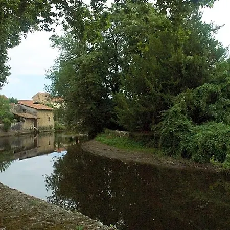 Le Clos Des Cedres