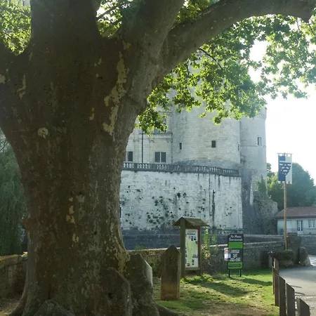 Le Clos Des Cedres La Rochefoucauld