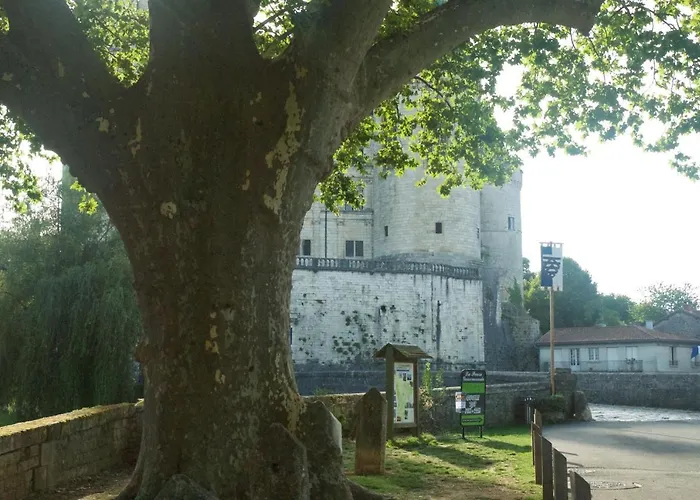 Le Clos Des Cèdres La Rochefoucauld